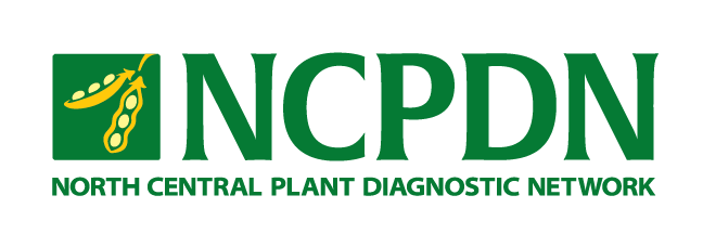 NCPDN