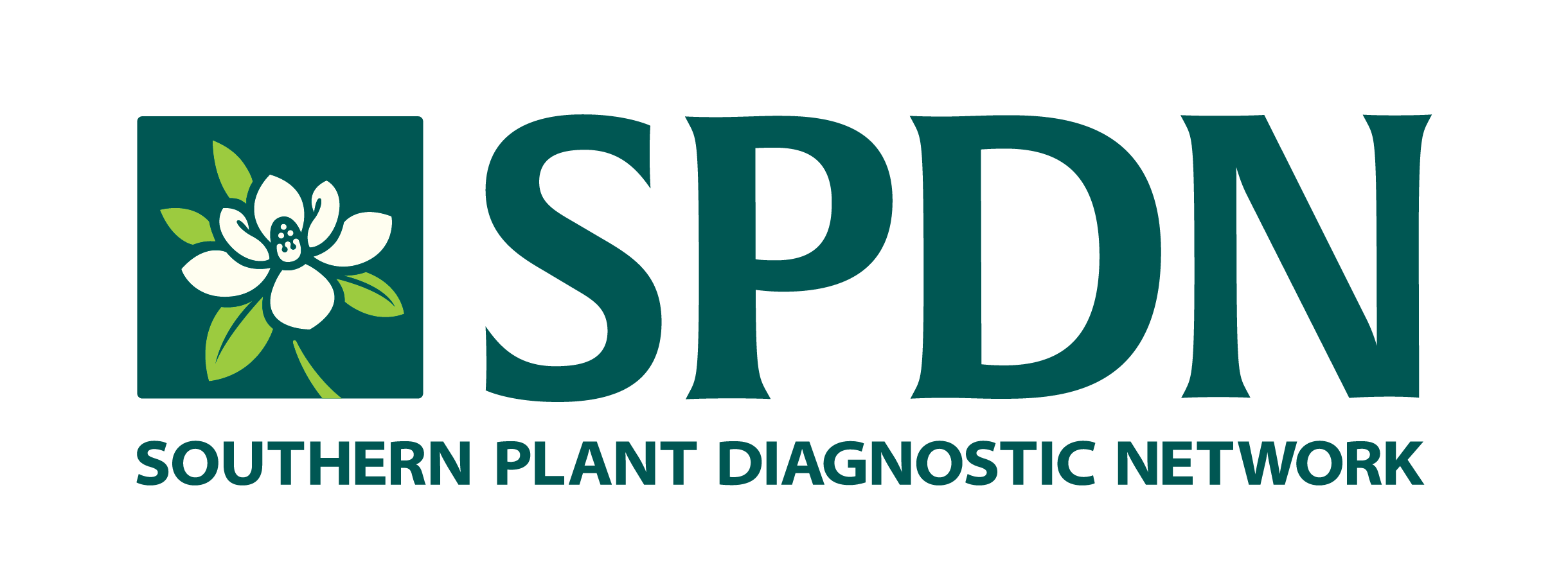 SPDN