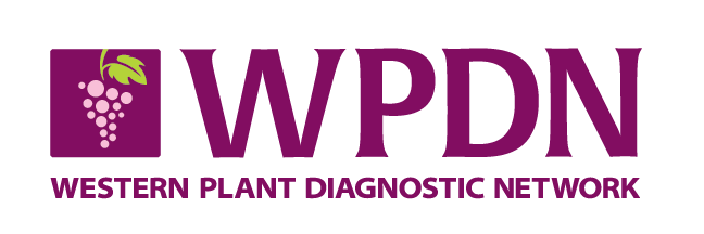 WPDN