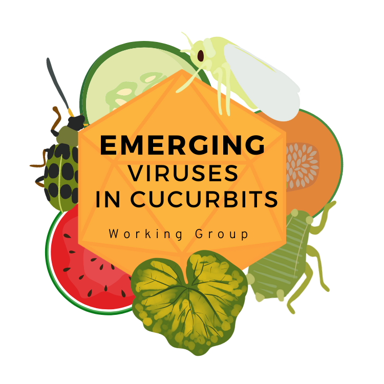 cucurbits-logo