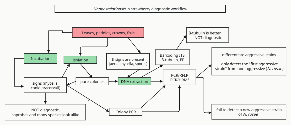 Flowchart for identification techniques 